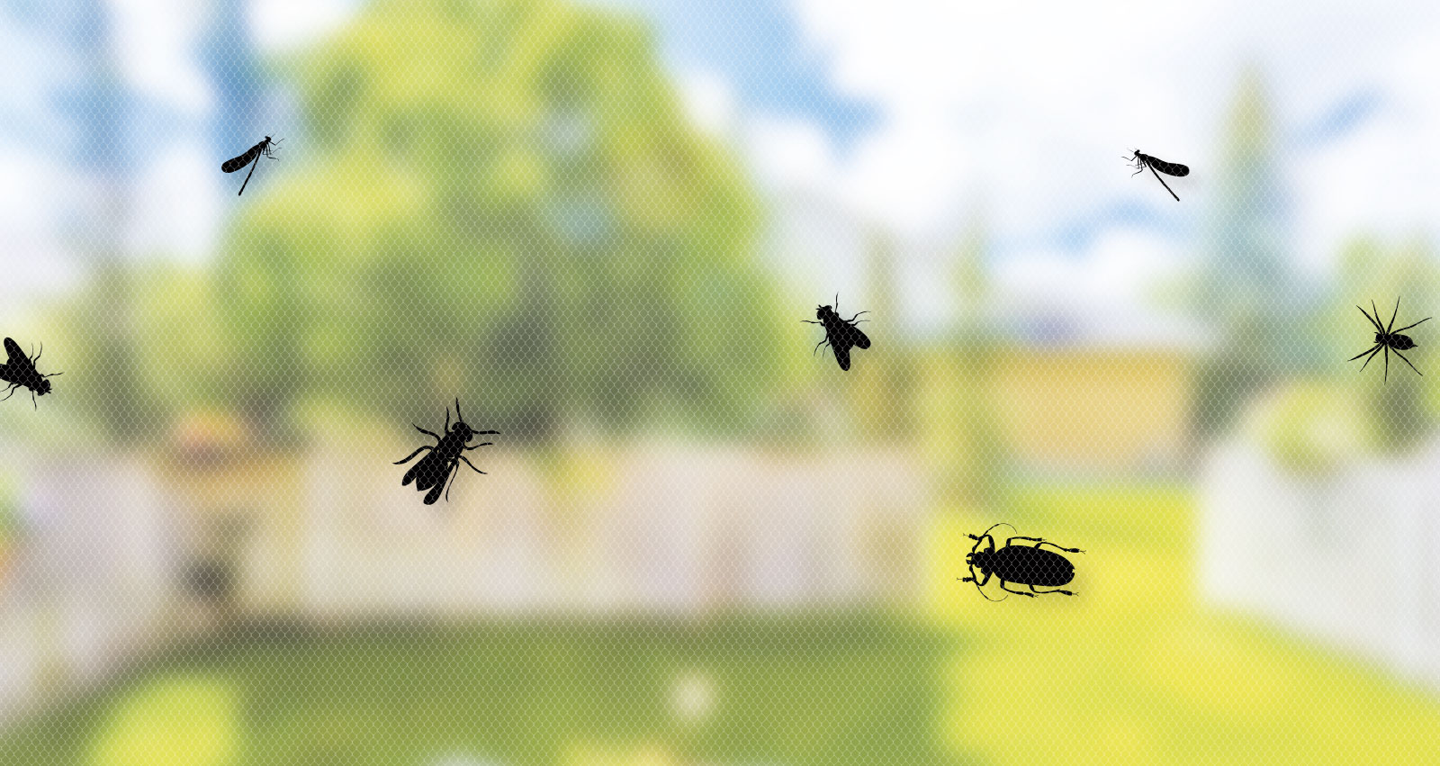 schlotterbeck-insektenschutz-fliege-kaefer-stechmuecke-wespe
