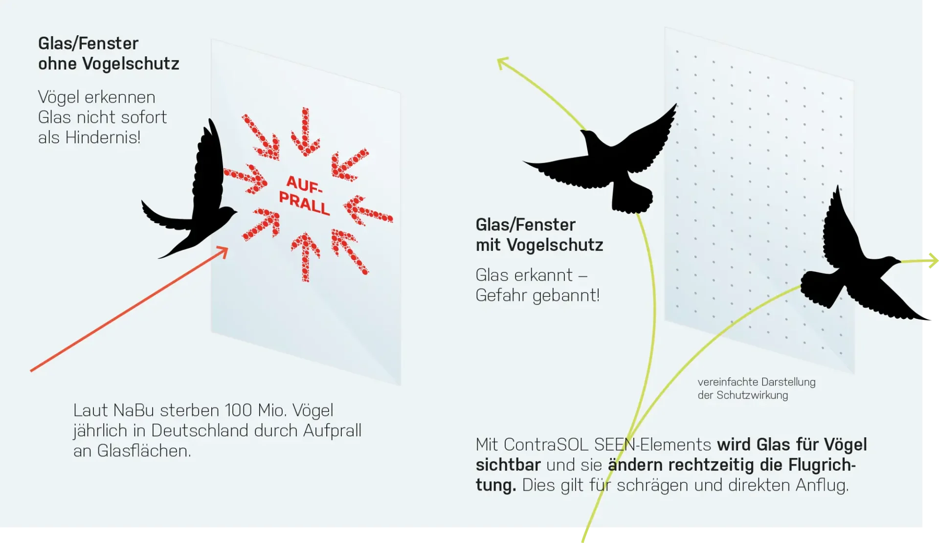 schlotterbeck-schutzfolien-schutz-glas-raumakustik-vogelschutz-grafik